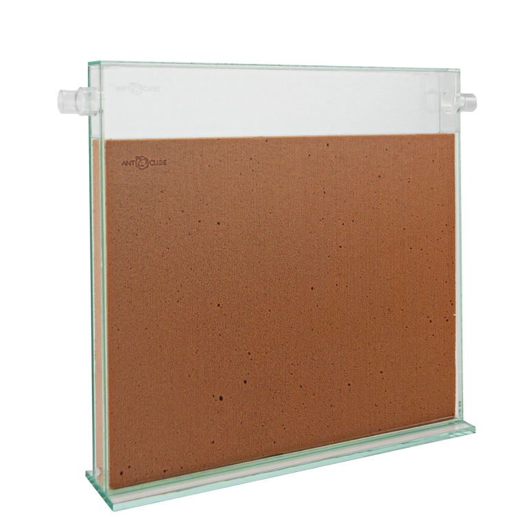 ANTCUBE - Digfix Terra nidum Platte 30x30 - L - beige